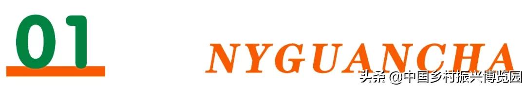 乡村振兴产业方面存在的问题,乡村数字化建设赋能产业振兴