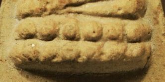 「鉴变」2494普陀耐最受欢迎的大模第二无耳线模