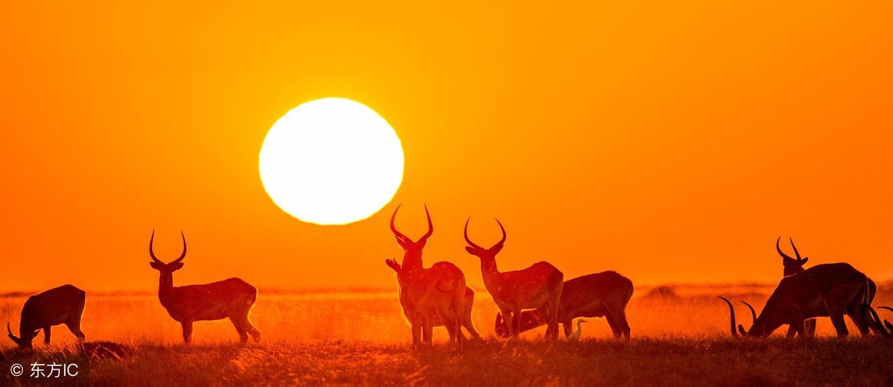 洛克菲勒的十大成功秘诀,洛克菲勒的生存之道
