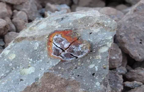 地上捡橄榄石，山上挖“战国红”，走，这个国庆节到河北寻宝去