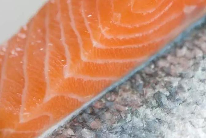 正宗北极贝刺身,爽口北极贝刺身