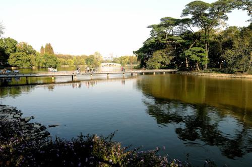 游广州东湖公园有感,东湖公园春夏秋冬的景色