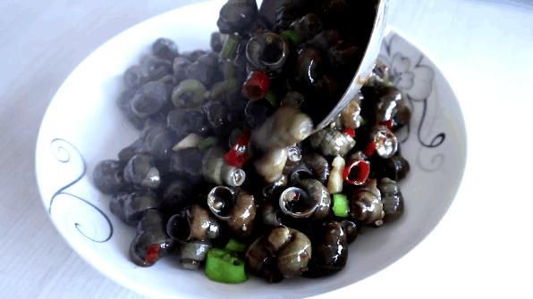 黄鳝不吃田螺有什么道理,田螺后面的尾巴可以吃吗