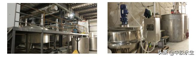 云南中胶永生乳胶,乳胶体验馆西双版纳