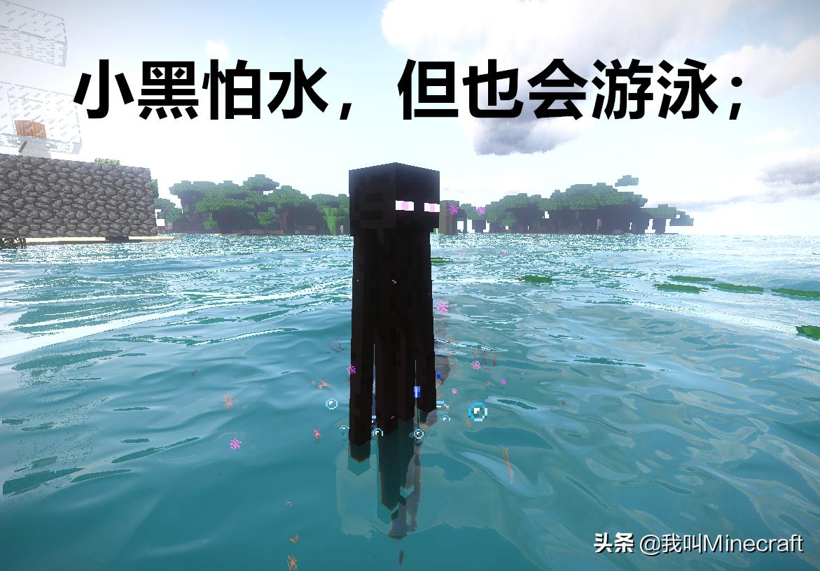 我的世界关于末影人的恐怖传说,我的世界末影人小黑图片