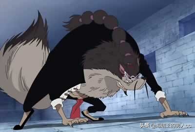 海贼王中的所有自然系恶魔果实,海贼王已经出现的动物系恶魔果实