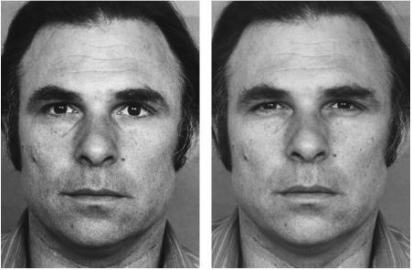 facs的全称是什么,facs面部编码系统