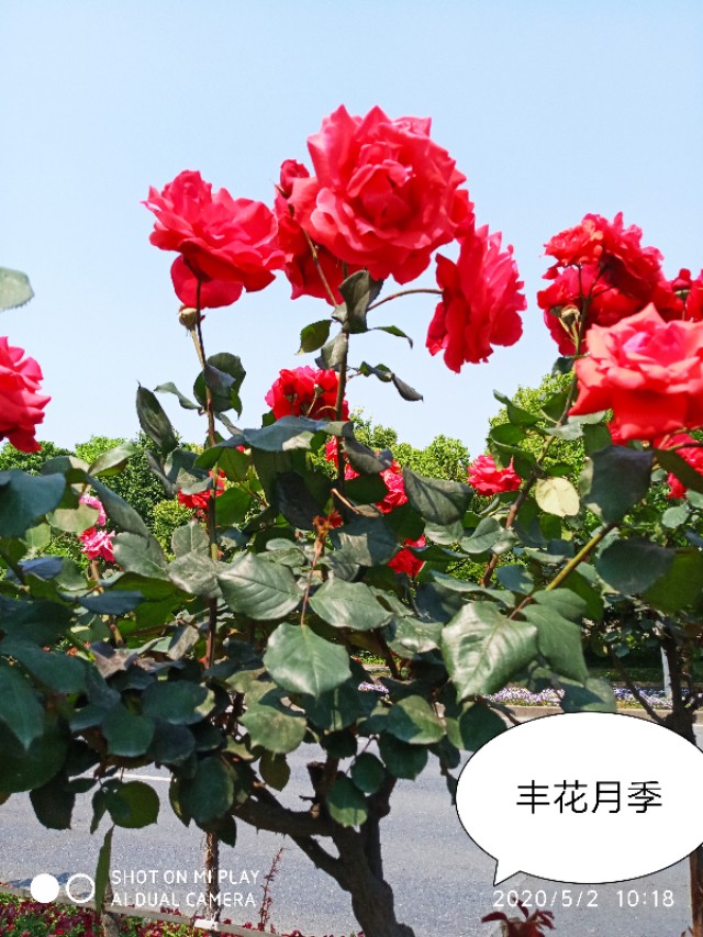 芒种种出新希望,芒种和幸福播种