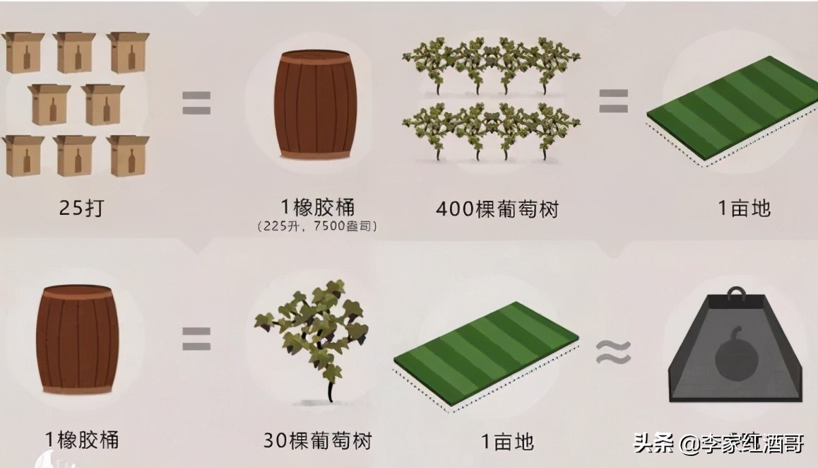 50种有趣的葡萄酒,整顿了15条葡萄酒小知识