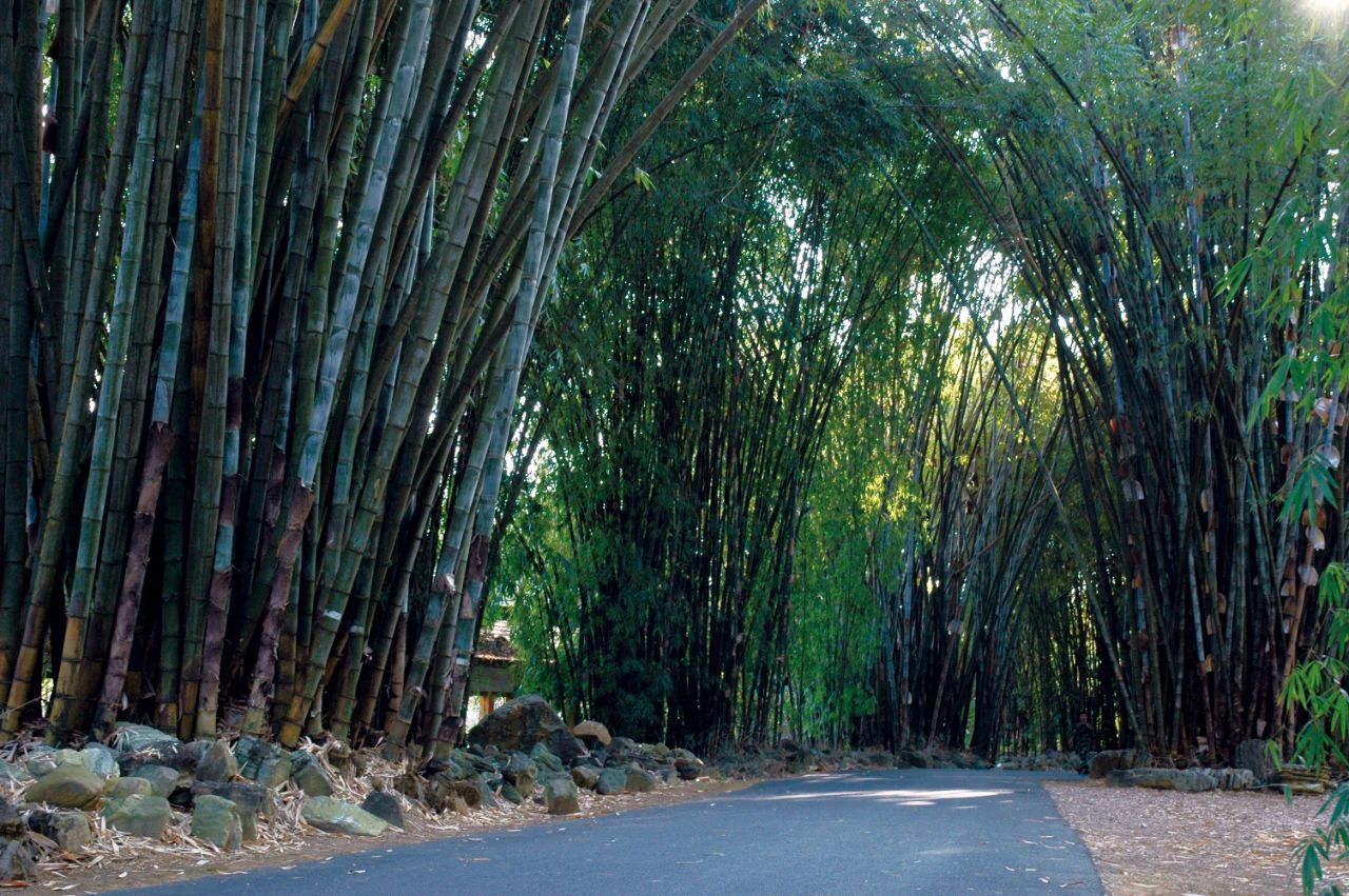 国庆节中秋景区免费打折时间,中秋节10余景区40余项活动等你来