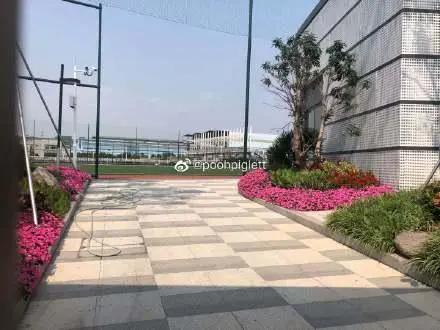 球迷现场监工！恒大新球场现神操作，建三层观景台俯瞰大球场施工