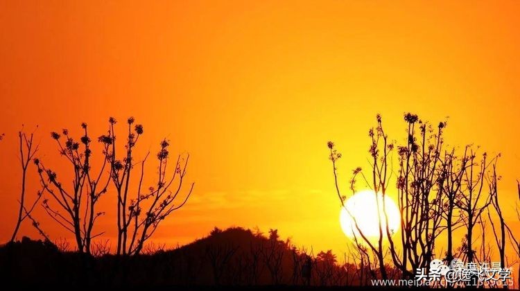 【原创.古韵新声】纤陌畔，小桥东。清溪流水逐残红