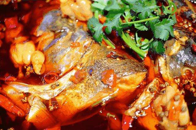 最好吃的美蛙鱼头在哪里,美蛙鱼头火锅的吃法