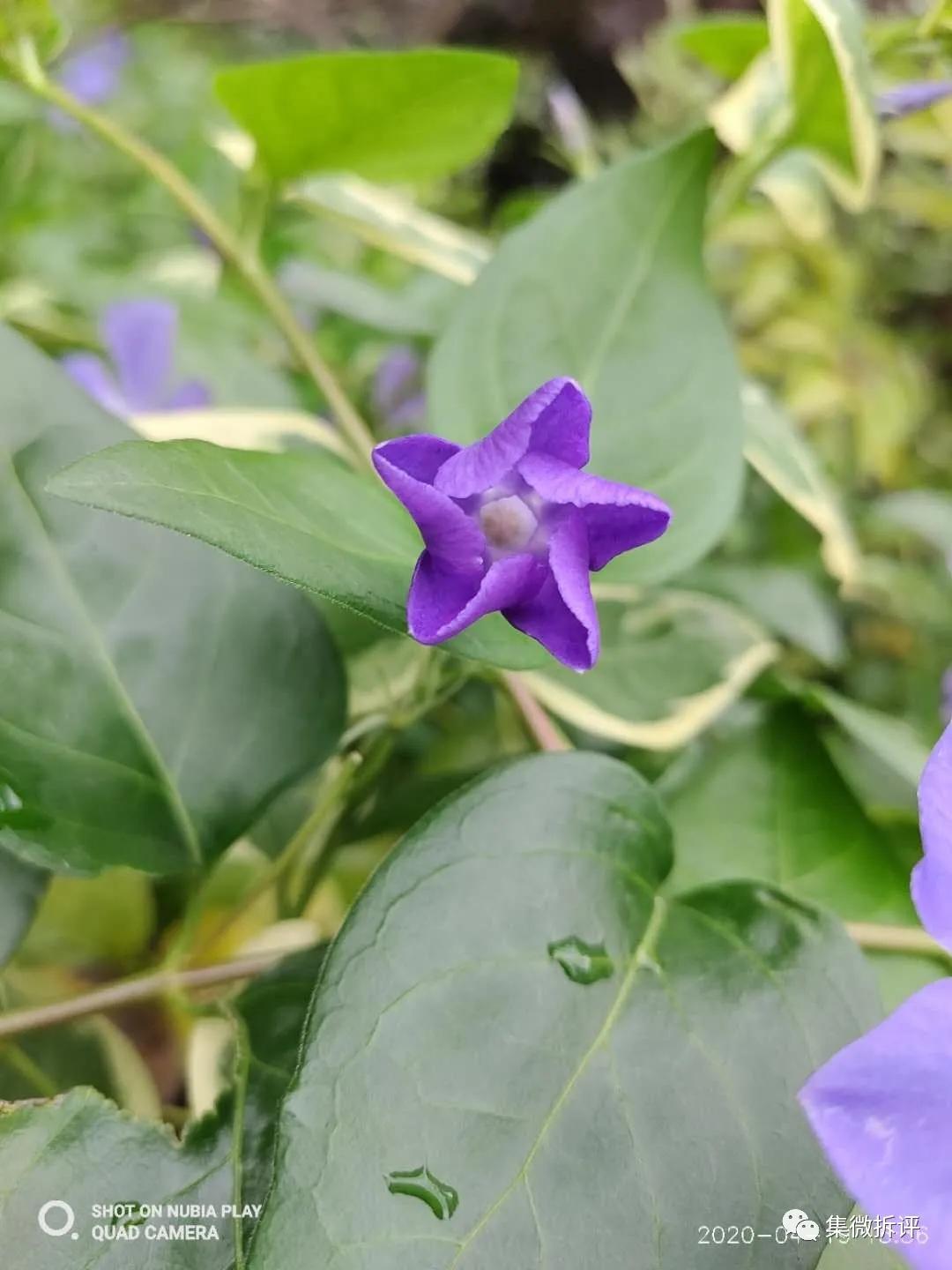 努比亚play和红米note10pro哪个好,努比亚play详细细节测评