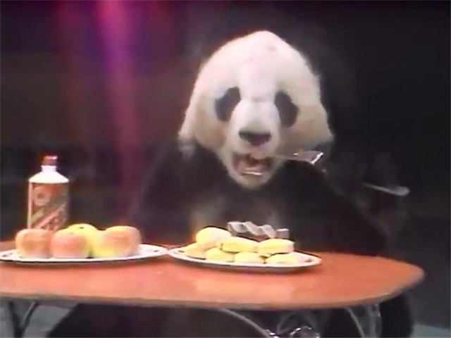 鏄ユ櫄澶х唺鐚枬鑼呭彴,83骞存槬鑺傝仈娆㈡櫄浼氬ぇ鐔婄尗