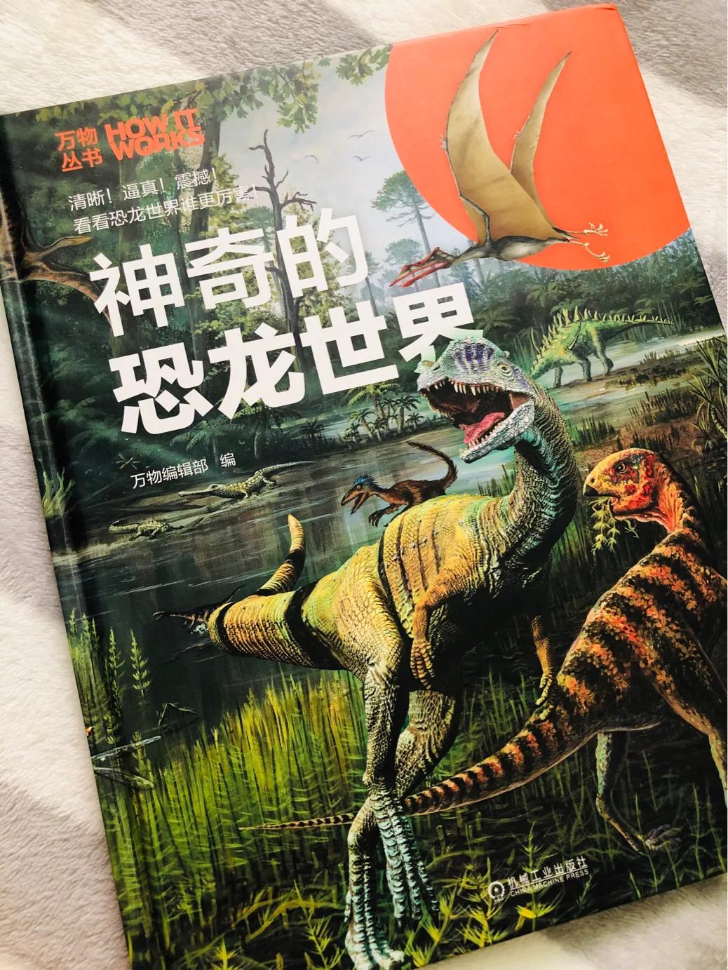 恐龙大比拼动画,恐龙大比拼视频