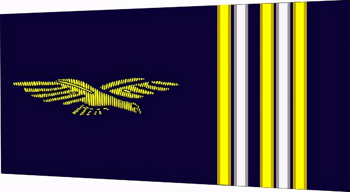 法国将军军衔等级,法国上校是什么军衔