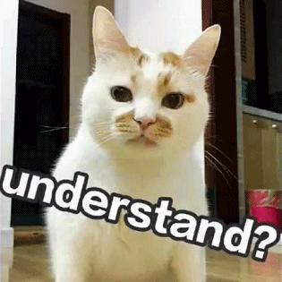 猫瘟和猫传腹哪个致死率高,病毒致死率提升