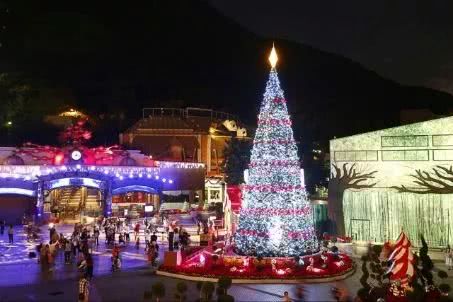 去香港看圣诞树攻略,香港中港城的圣诞树