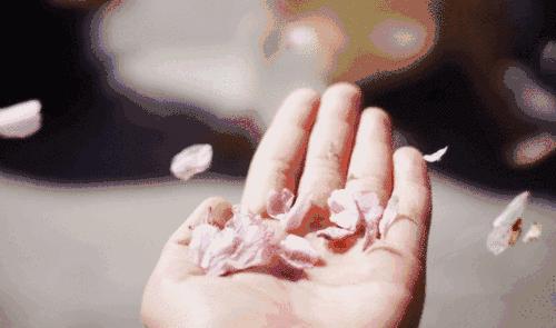 暮春：风住尘香花已尽，清风明月两相依