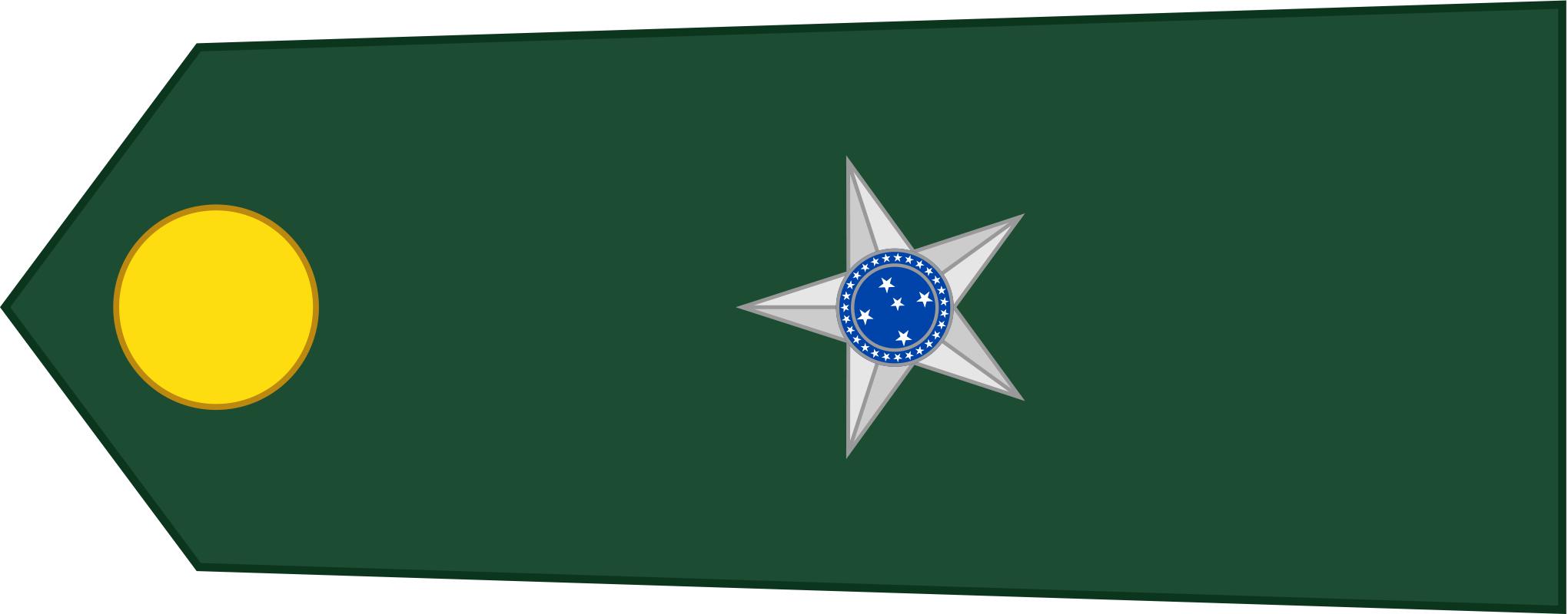 巴西军衔图片,各国军衔标识俄罗斯