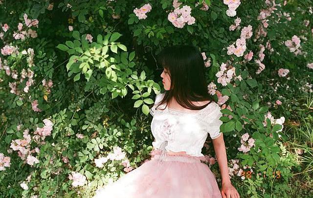 满架蔷薇一院香，开到荼靡花事了