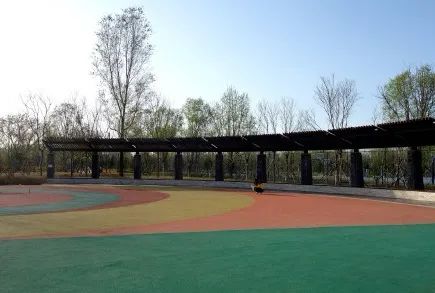 北京五环最美花海,附近免费景点踏青网红打卡地