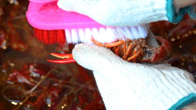 松哥油焖大虾南城榕树下店,松哥油焖大虾多少家店