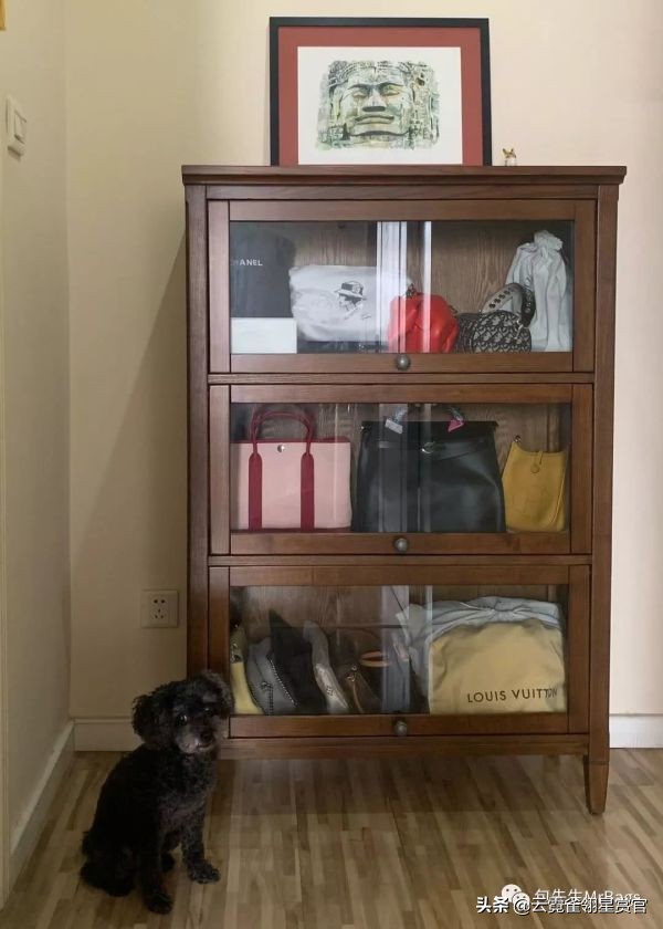 好看又大的宠物包,超好看的宠物包