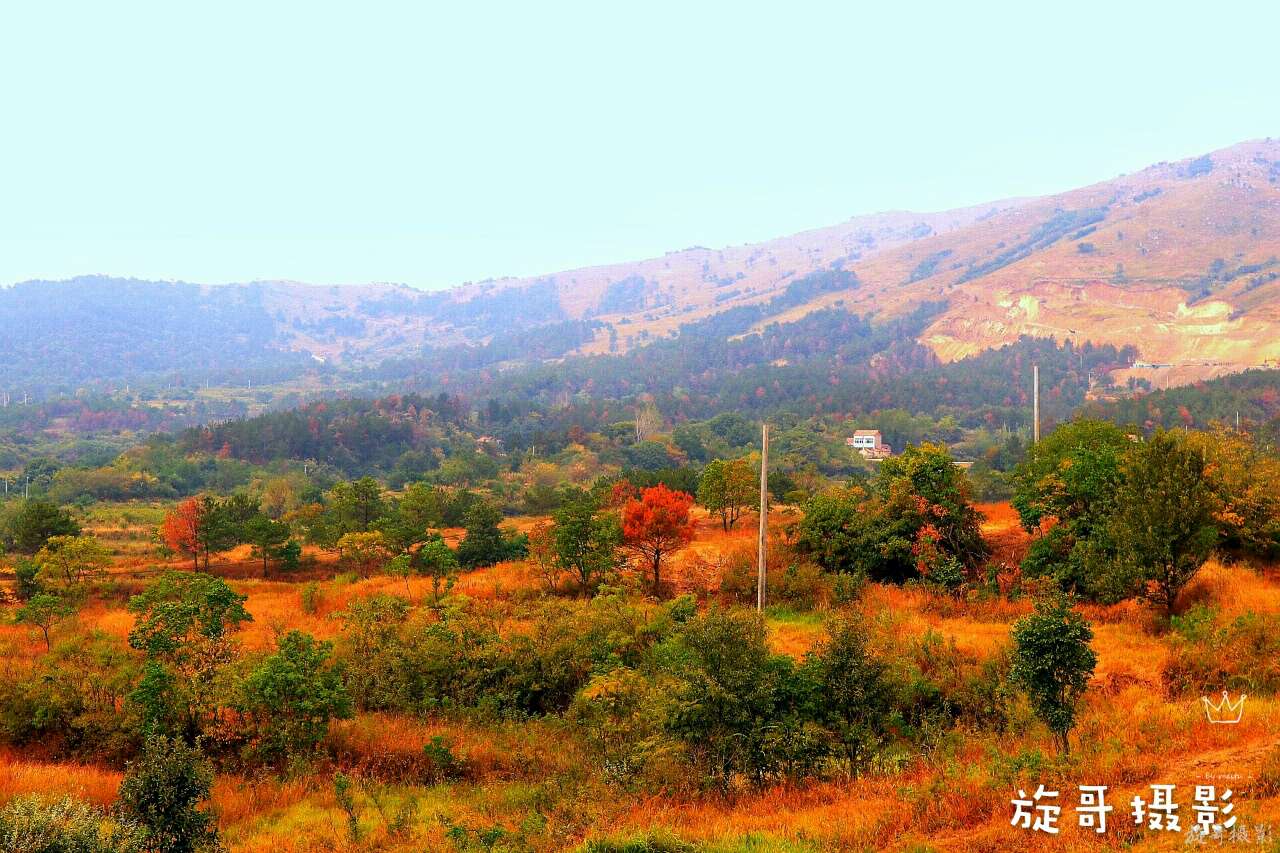 李白静夜思在哪个地方作诗,李白的梦游天姥吟留别的时代背景