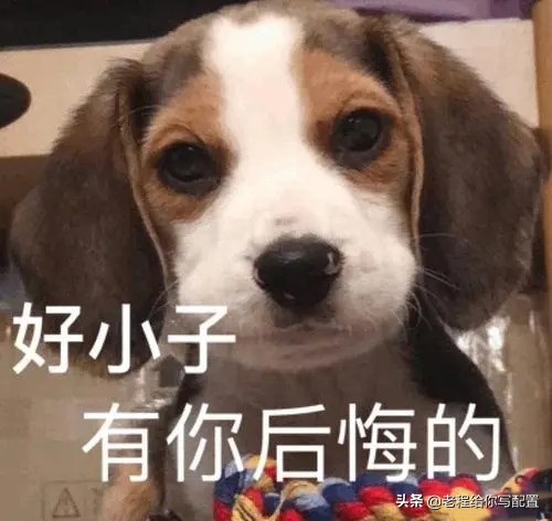 内存2条8g和两条16g的一起用么,内存双通道装两条8g还是一条16g好