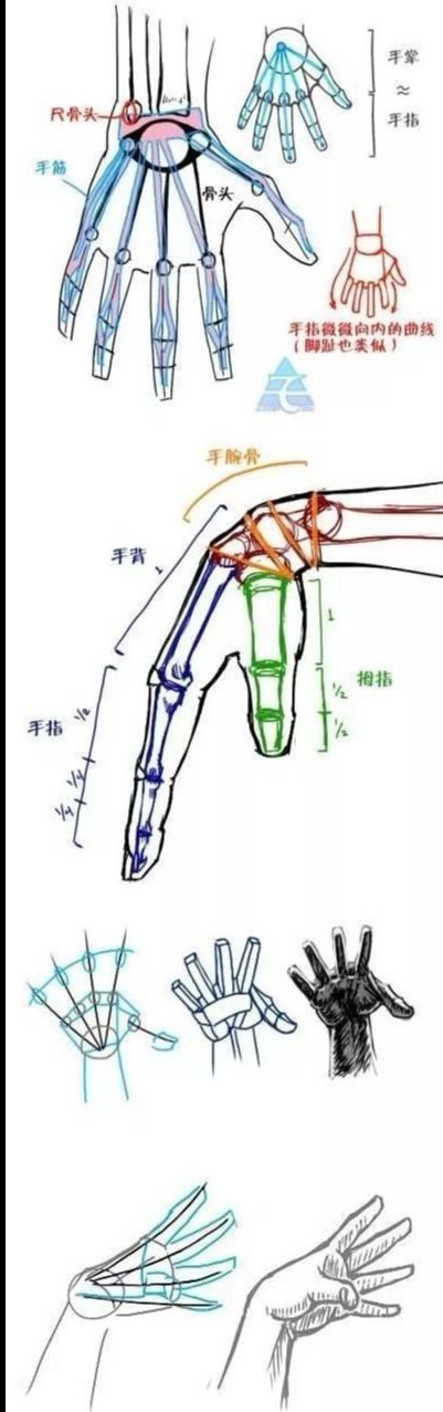 动漫人物手怎么画,画动漫人物手的画法