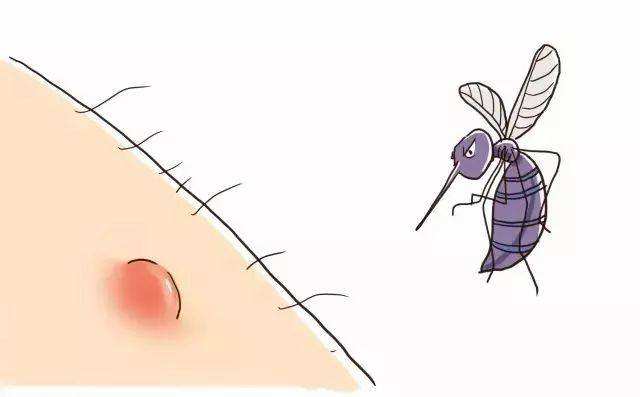 o型血招蚊子还是a型血招蚊子,o型血怕蚊子还有哪些血型怕蚊子