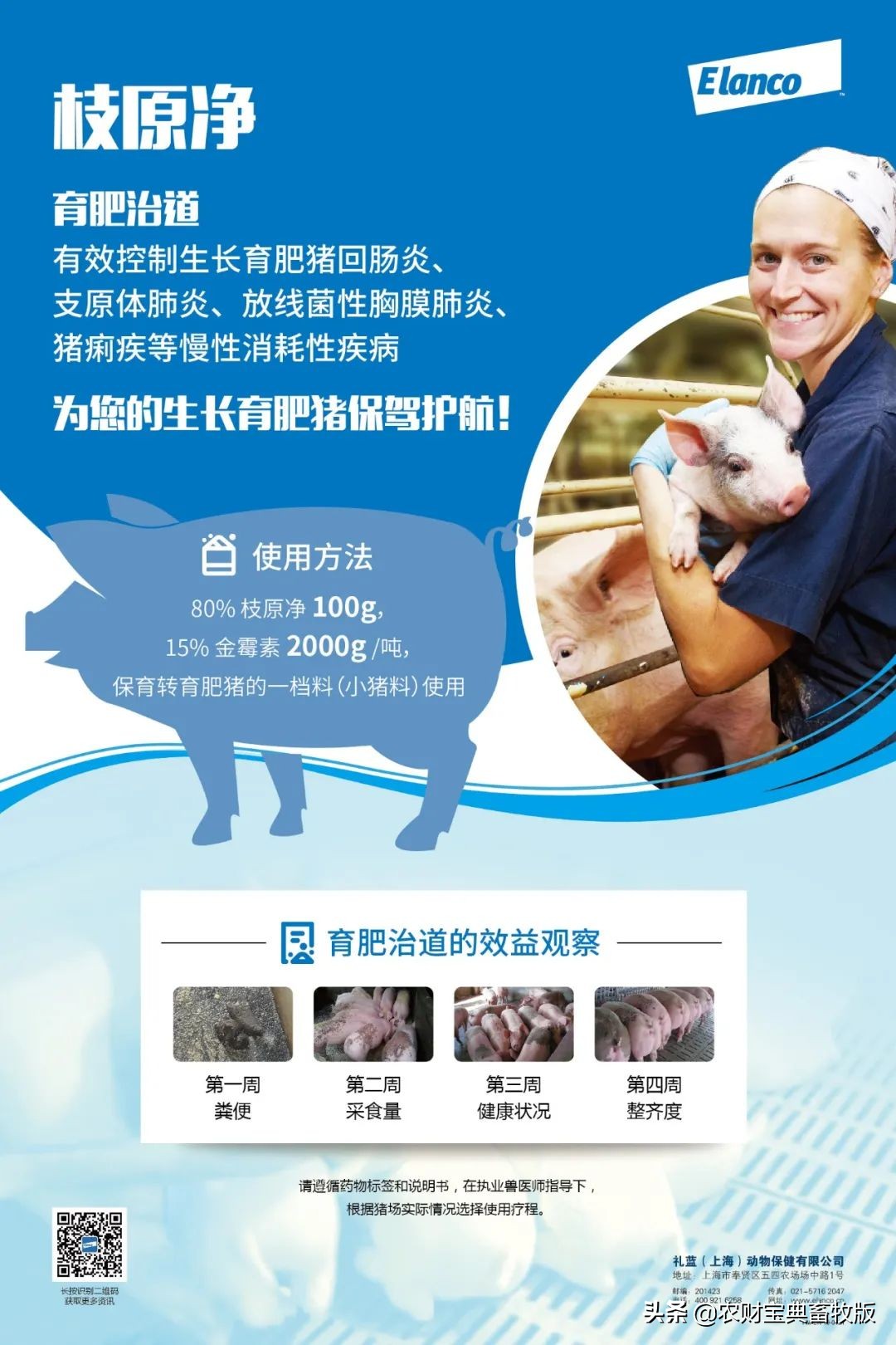 一头猪利润1000,一头肥猪能赚多少钱