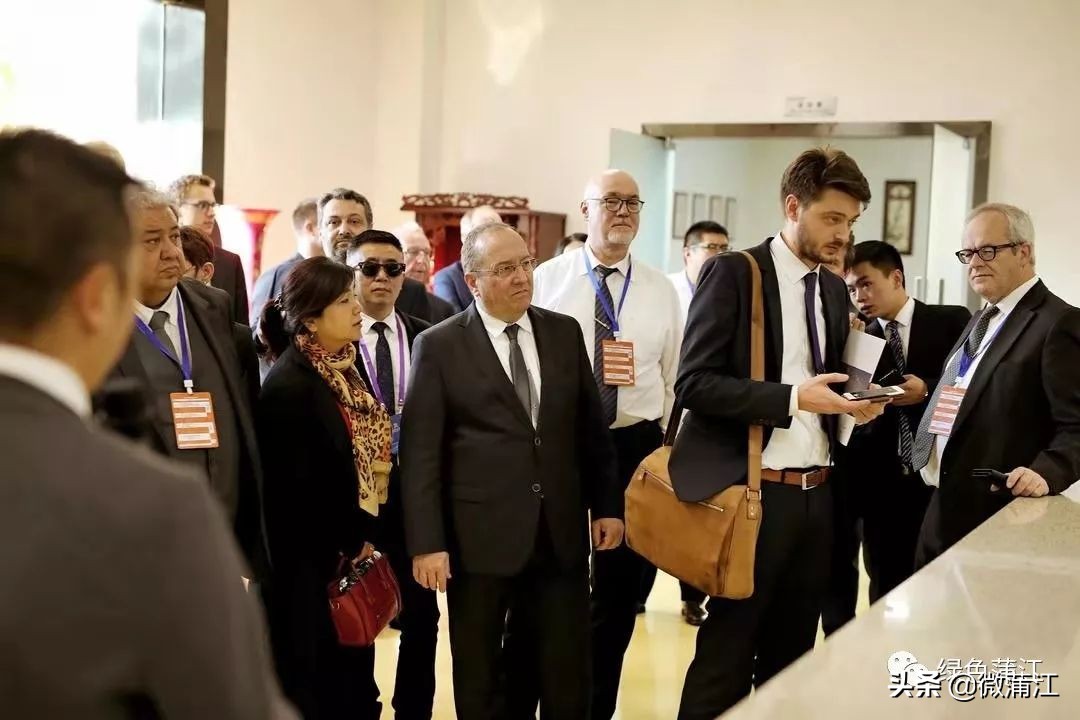 中德隐形冠军产业园,成都蒲江中德中小企业合作