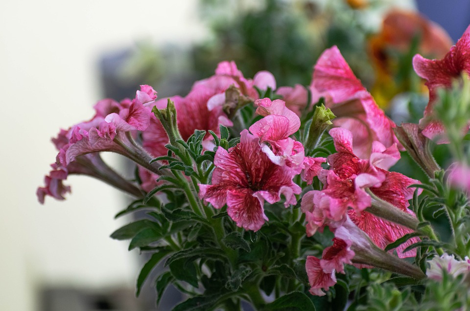 玩欲擒故纵的男人是爱还是不爱你,男的对你欲擒故纵女的应该怎么做