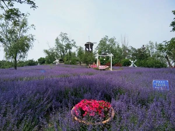 大连必去的旅游景点排名前十,大连最值得去的旅游景点排名前十