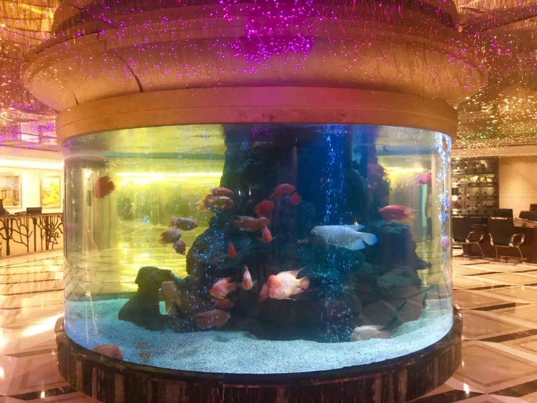 七星酒店自助餐,15888元七星酒店自助餐