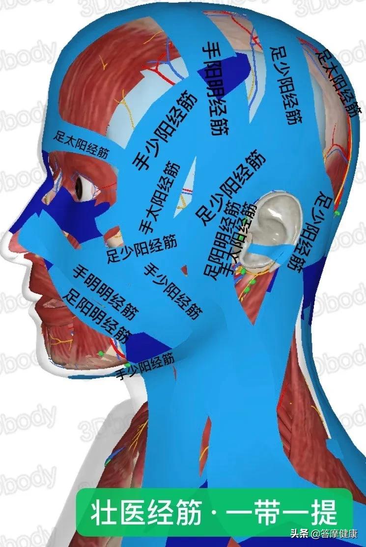 面部衰老的补救方法,3个简单技巧帮助您延缓面部衰老