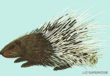 山海经异兽录手游下载,山海经异兽录礼包码