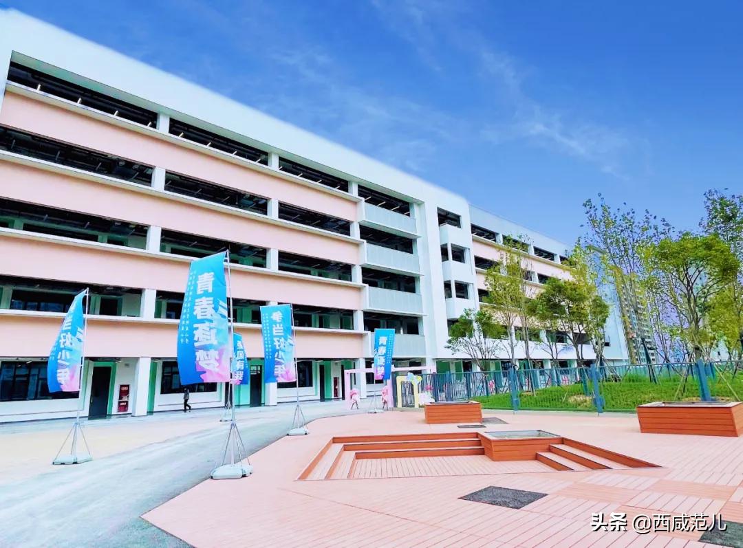 喜讯|新增学位14760个！沣西、能金区共10所新建学校，全部投运