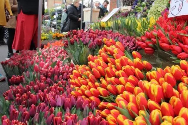亚洲最大花市宛如仙境,中国最牛的花市
