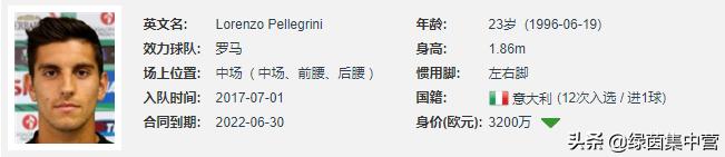 佩莱格里尼看托蒂进场,佩莱格里尼意大利