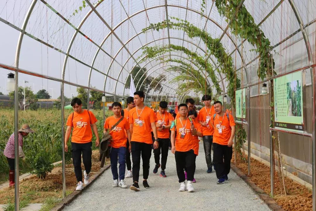 爱前行公益活动,爱行路公益活动