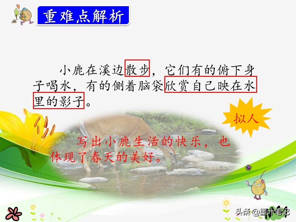 美丽的小兴安岭课文讲解人教版,三上语文美丽的小兴安岭课文讲解