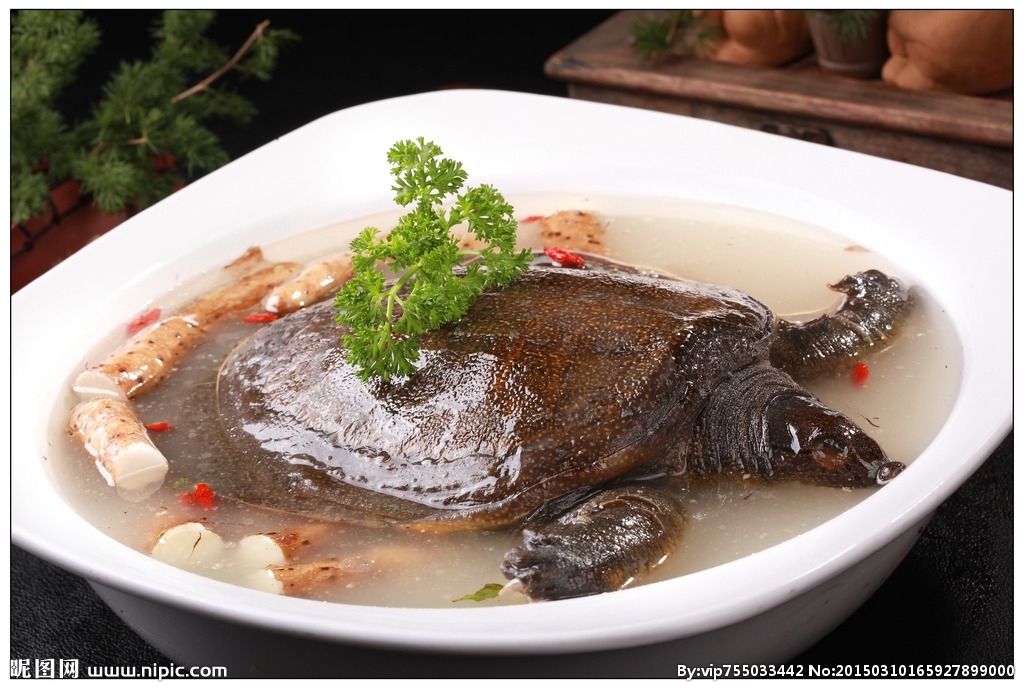 山药红烧甲鱼最正宗的做法,烧甲鱼豫菜