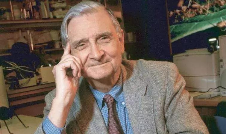 3月书单推荐经典好书,11月最值得看的10本好书