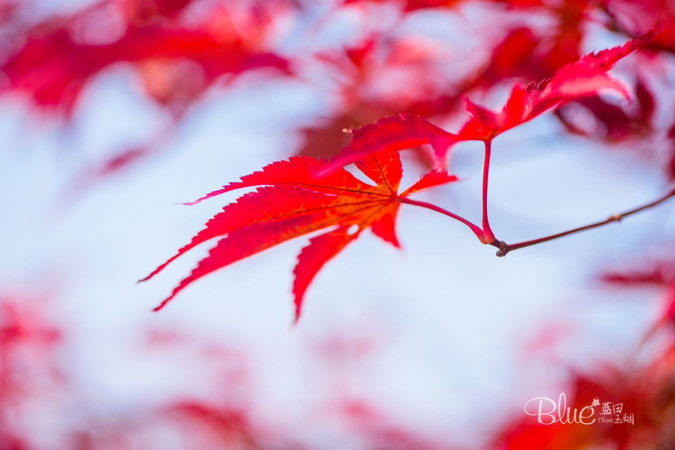 中国最美的大乘佛寺,最有灵性的古佛寺
