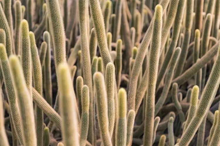 深圳10大旅游好去处,深圳盐田区周末休闲浪漫好去处