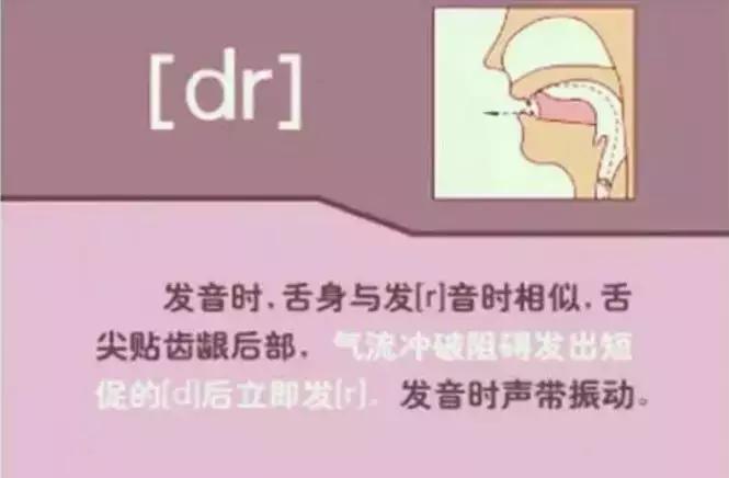48个国际音标发音清晰口型示范,48个国际英语音标发音表及口型